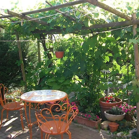 Dei Romaniani Guest house Villaromagnano
