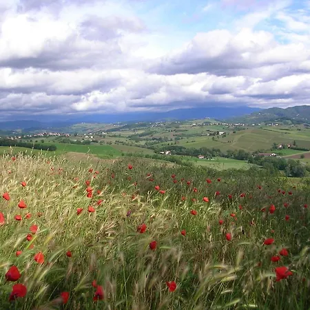 Dei Romaniani Guest house